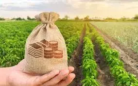 A Nova Lei da Cédula de Produto Rural (CPR): Avanços e Desafios para o Agronegócio Brasileiro.