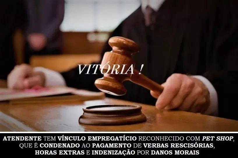 Atendente tem vínculo empregatício reconhecido com Pet Shop, que é condenado ao pagamento de verbas rescisórias, horas extras e indenização