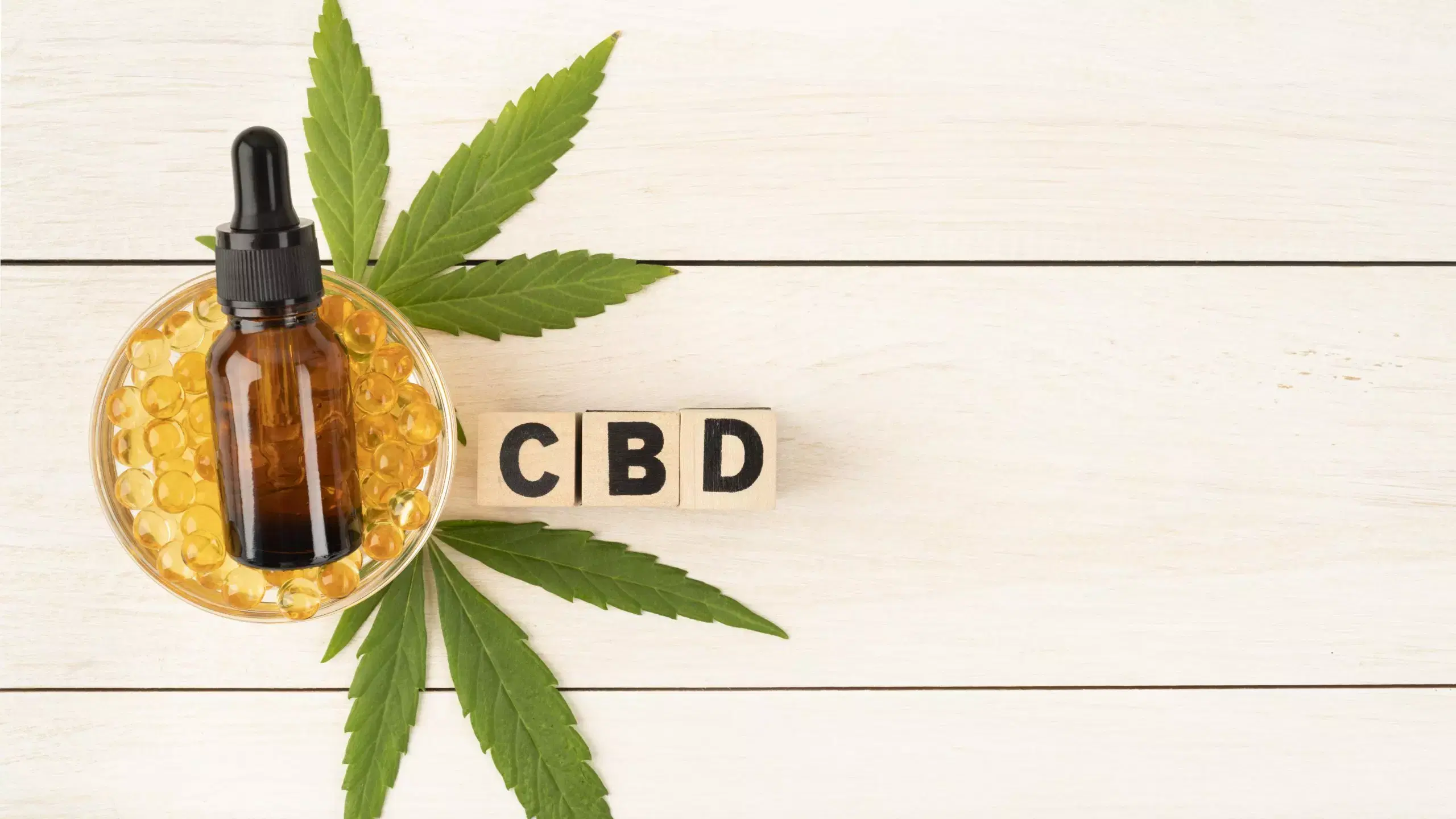 Cannabis medicinal pelo SUS ou PLANO DE SAÚDE