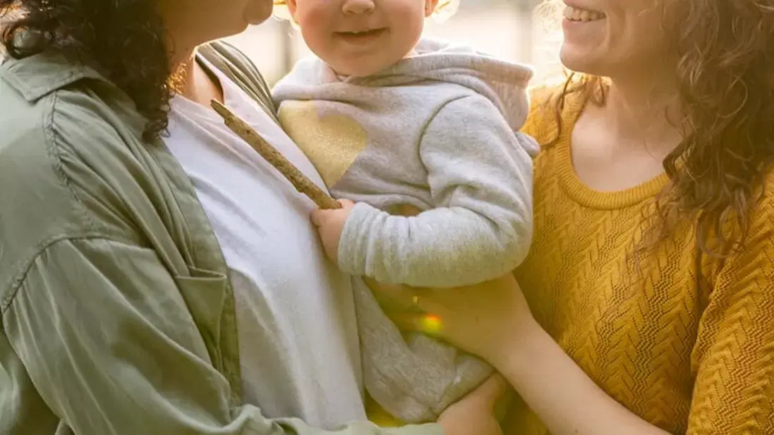 Aspectos Legais Sobre a Inseminação Artificial Caseira