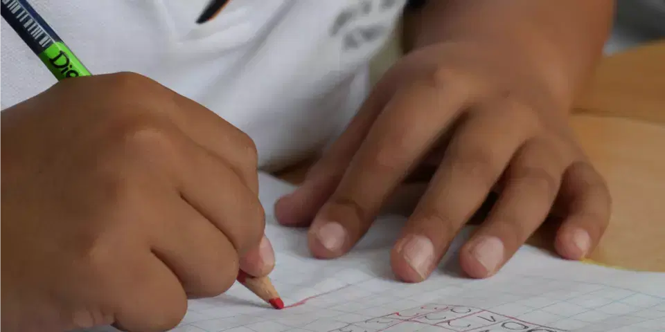 Inadimplência da mensalidade escolar e o direito constitucional à educação