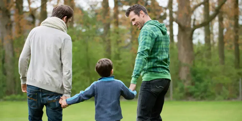 Quais os direitos garantidos aos casais homoafetivos?