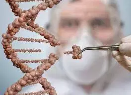 Clonagem Humana e seus aspectos legais