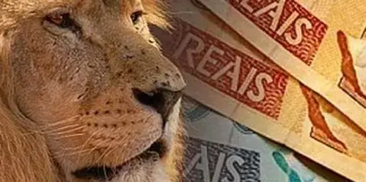 Demora da Receita Federal em julgar os processos de restituição e de compensação. O que fazer?