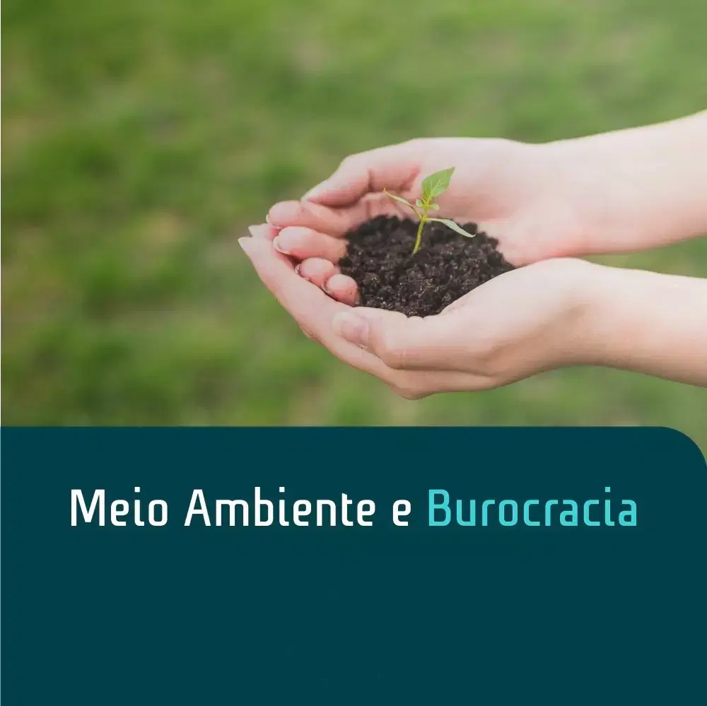 Imagem do artigo: Licenciamento Ambiental no Brasil: Desafios, Comparativos Internacionais e Caminhos para a Segurança Jurídica