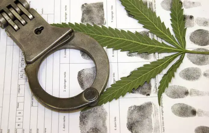 LEI DE DROGRAS: AFINAL, O CONSUMO PRÓPRIO É OU NÃO UM CRIME? EXISTE UMA QUANTIDADE MÍNIMA NO QUE DIZ RESPEITO AO USO E TRÁFICO?
