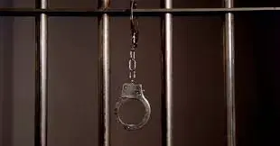 Do Controle Social pelo Direito Penal à Prisão Preventiva