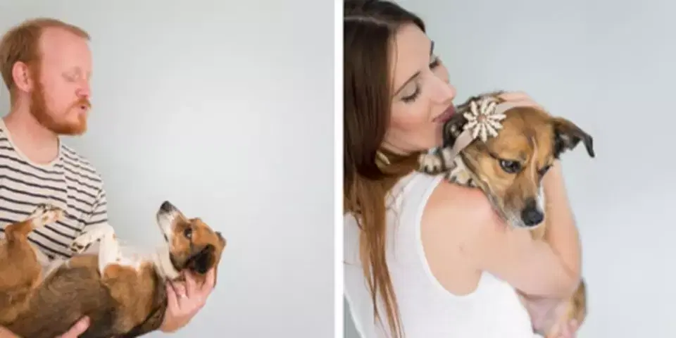 Fim do relacionamento: com quem fica o animal de estimação?