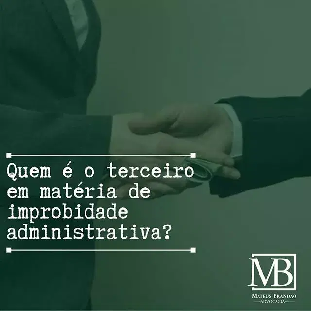 O terceiro no processo de improbidade administrativa.