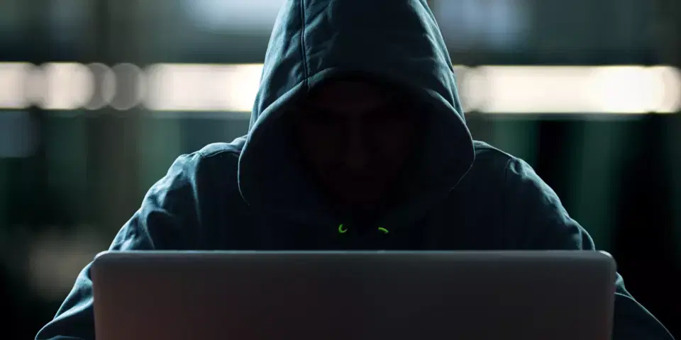 Cópia indevida de programas, textos, livros e outras mídias digitais