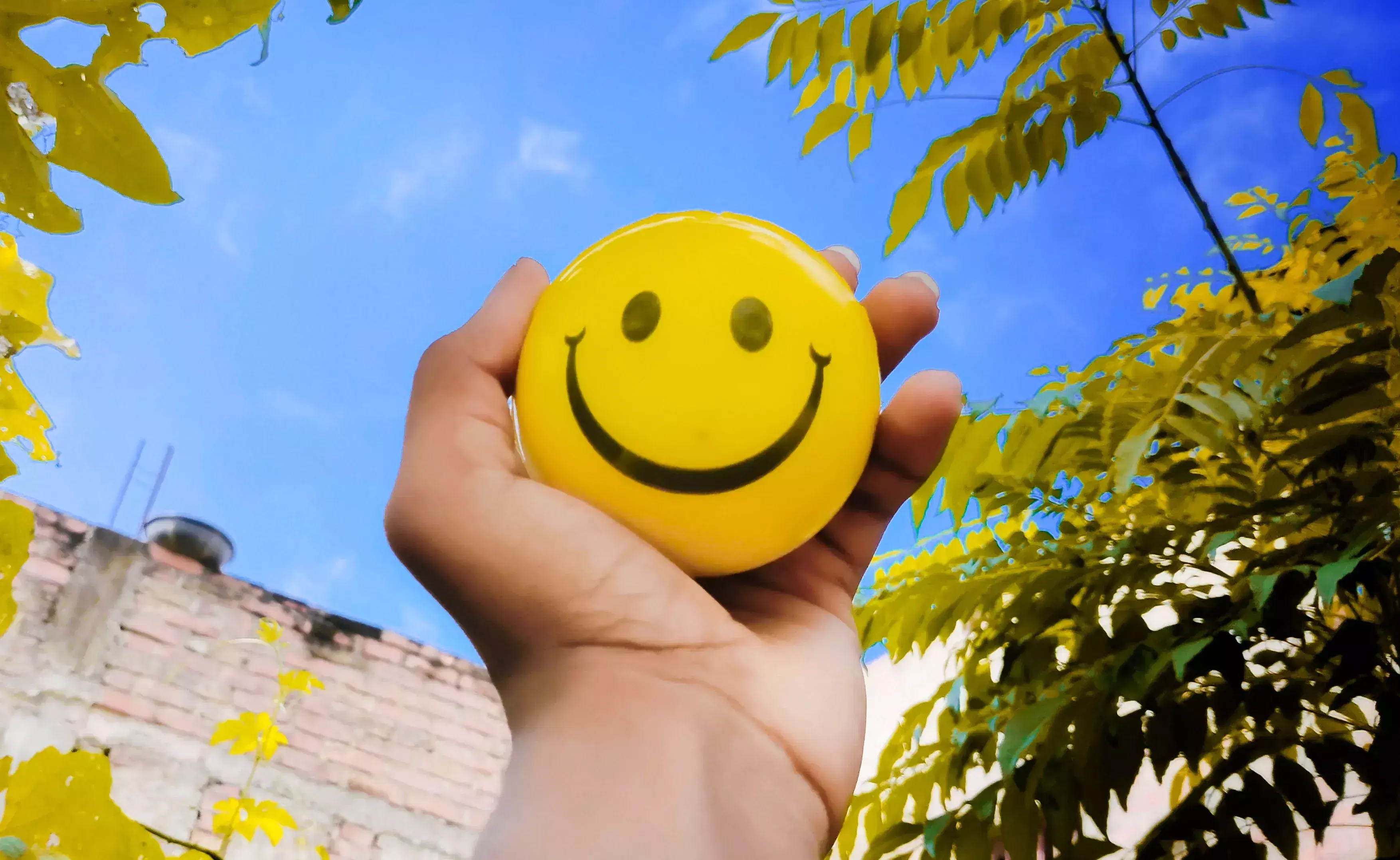 O Direito à Busca da Felicidade como Direito Social Fundamental