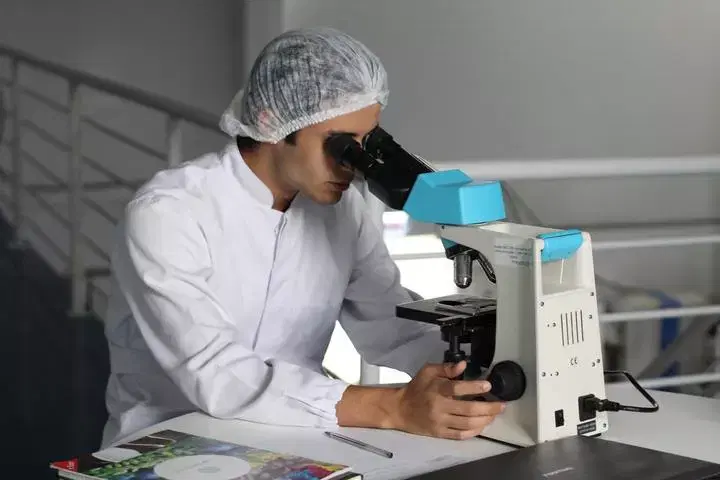 Projetos de Lei sobre a inseminação artificial "post mortem"