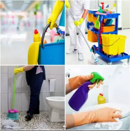 ADICIONAL DE INSALUBRIDADE NA LIMPEZA DE BANHEIROS PÚBLICOS E COLETIVOS
